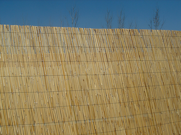 CAÑIZO TIPO BAMBU PG0977 PROFER GREEN 1X5 M