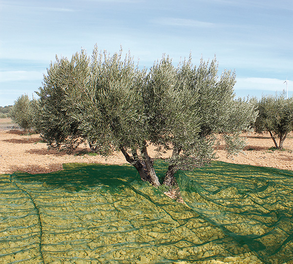 MANTA RECOGER OLIVA/ALMENDRA VERDE PG1000 PROFER GREEN 3X6 M