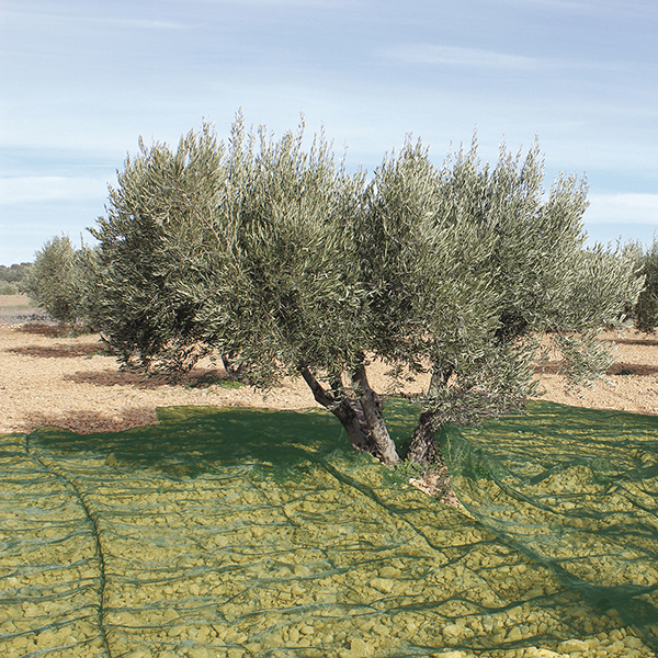 MANTA RECOGER OLIVA/ALMENDRA VERDE PG1002 PROFER GREEN 5X10 M