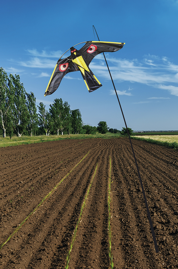 COMETA HALCON ESPANTAPAJAROS 231606 MASSO -