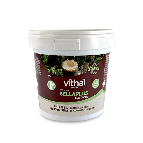 PASTA CICATRIZANTE SELLAPLUS VG11008005 VITHAL 1 KG