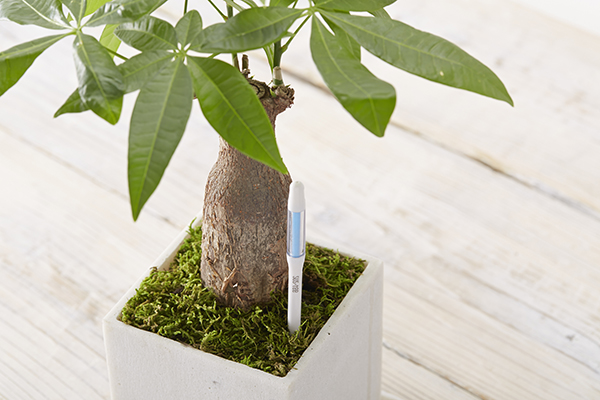 AVISADOR RIEGO SUS-TEE C-0042-XGW DIGEBIS -