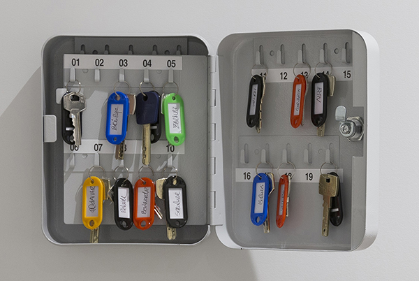 ARMARIO PORTALLAVES 20 LLAVES PH1165 PROFER HOME 20X16X6CM