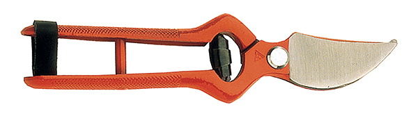 TIJERA PODAR FORJADA 1 MANO 3501-22 BL BELLOTA 25 MM