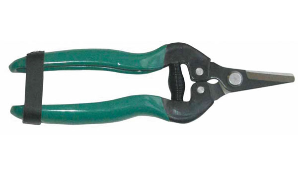 TIJERA RECOLECCION HOJA RECTA PG0253 PROFER GREEN 17 CM