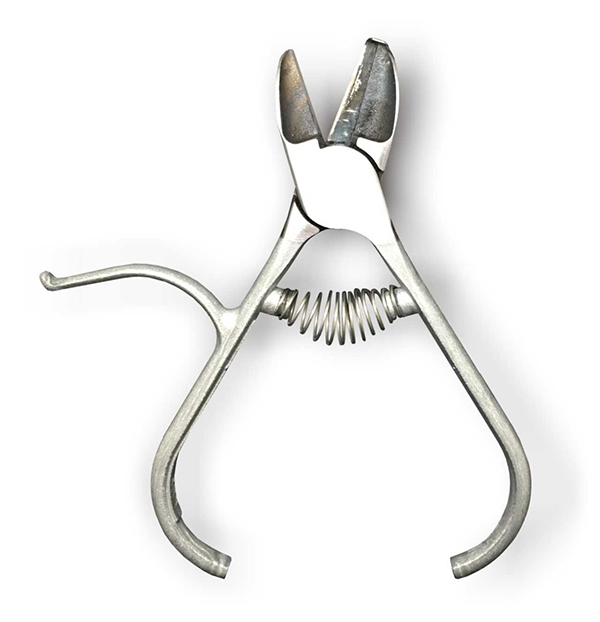 ALICATE NARANJERO P. CURVA VALENCIANES 2 CANET -