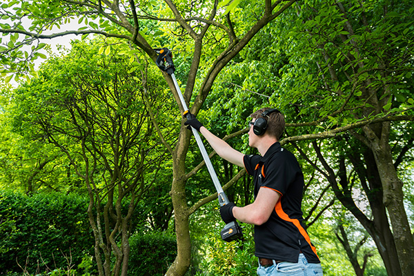 MANGO TELESCOPICO COMPATIBLE NEXXSAW 7064494 BATAVIA 175 CM