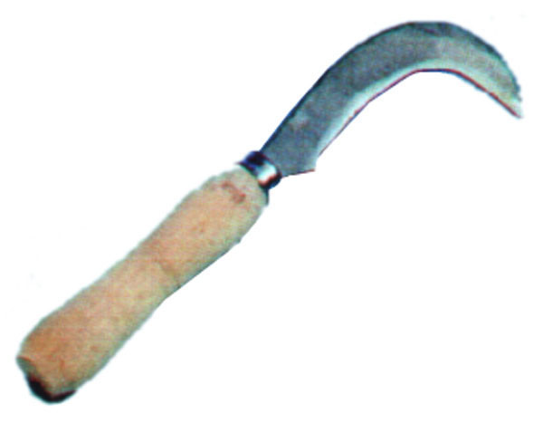 CORVILLO VENDIMIA 51206 IMEX 75X15 MM