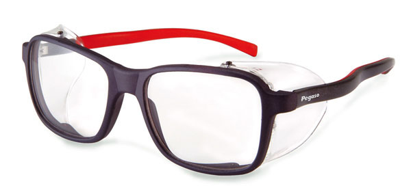 GAFAS PROTECCION INCOLORA 2009 EUROPA PEGASO -