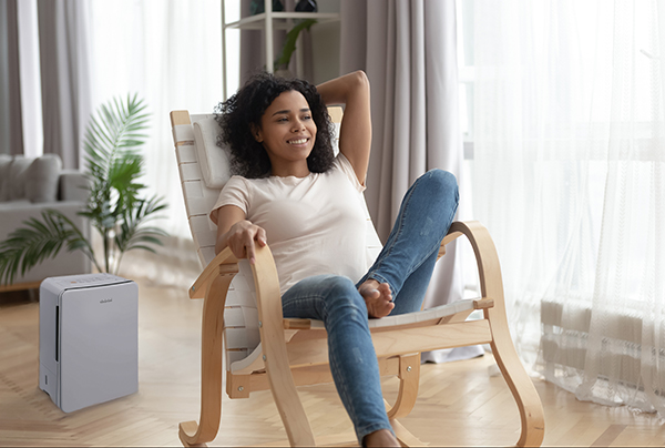 DESHUMIDIFICADOR ECOLOGICO TD-ZB80 TOYOTOMI 8 L