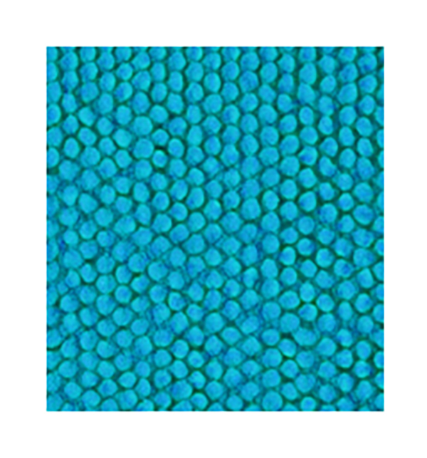 ALFOMBRA BAÑO POLIESTER 100% TURQUESA 5540054060 EPID 40X60 CM