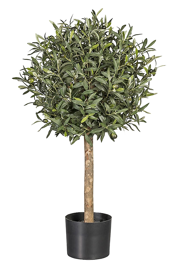 ARBOL OLIVO 1500016 SINDER 100 CM