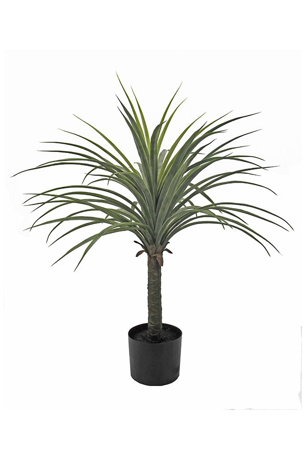 PLANTA YUCCA 6700102 SINDER 70 CM