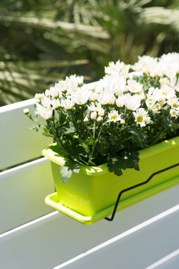 BALCONERA+SOPORTE PISTACHO SC20PS INTEPLAS 50 CM