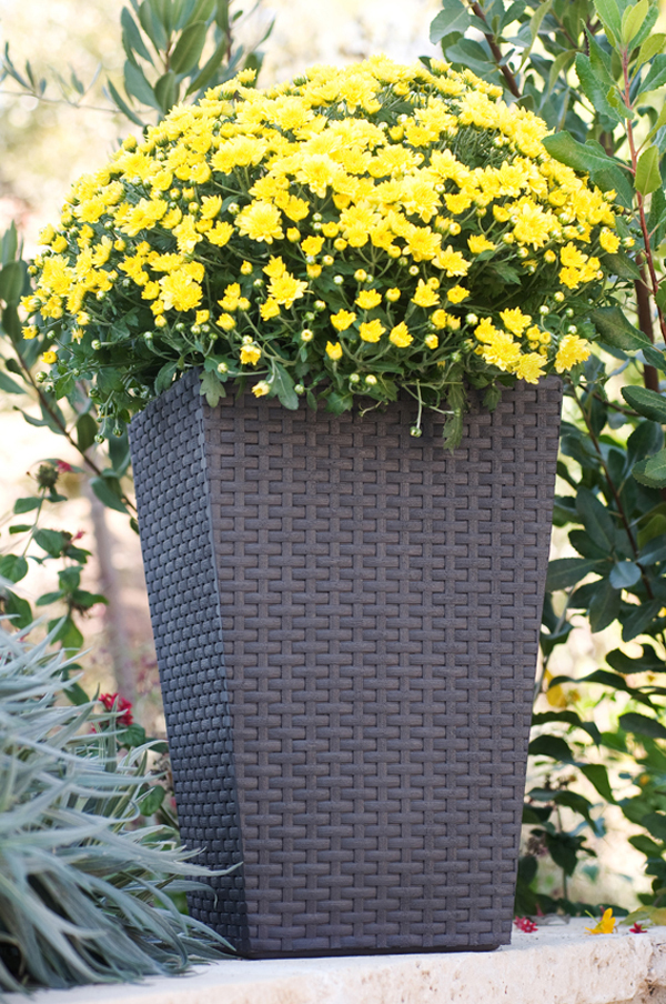 MACETERO RATAN 55 L 193918 KETER 39X39X57