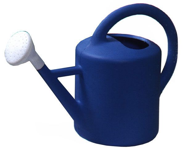 REGADERA 12259 PASCOR 3 L