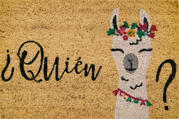 FELPUDO COCO BLANCO QUIEN LLAM 55-200 DINTEX 40 X 60 CM