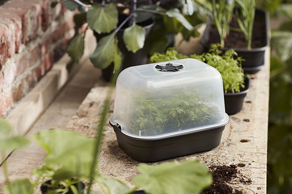 TAPA MINI HUERTO S 6,8712E+12 ELHO 24 CM