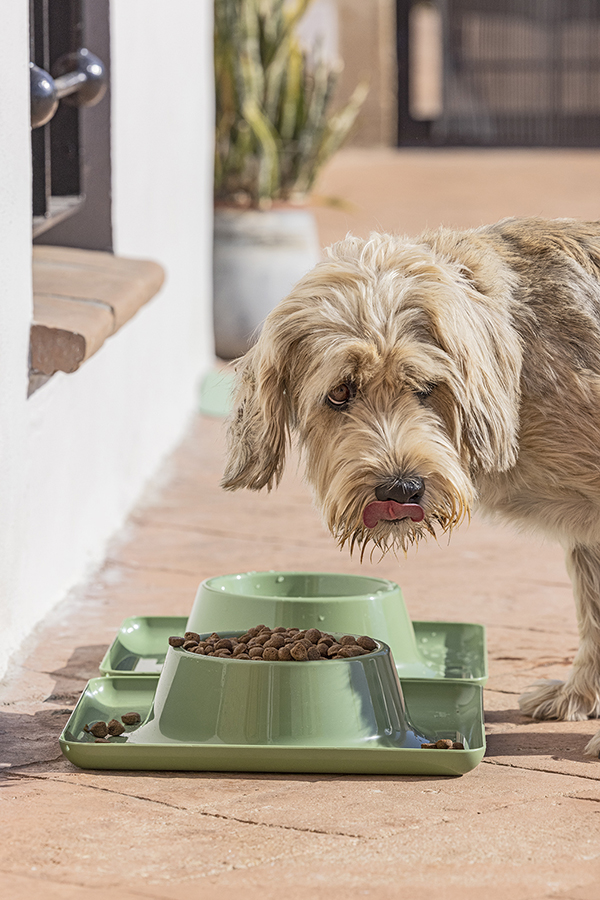 COMEDERO MASCOTAS GRANDE 11587 PETS CLUB -